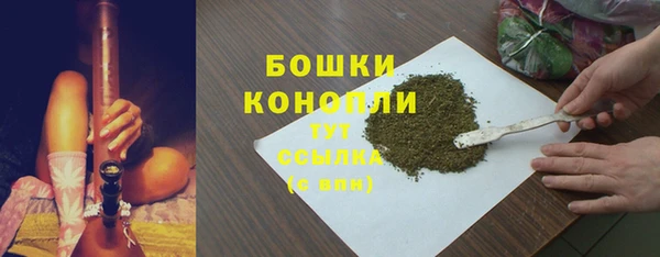 дживик Богородск