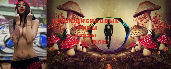 героин Богданович