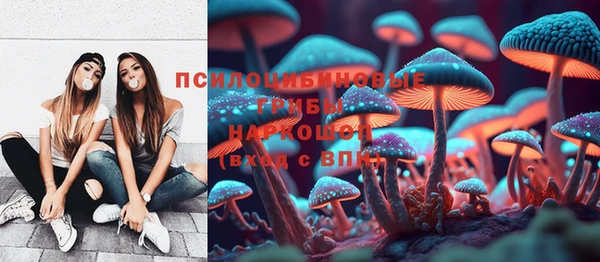 героин Богданович