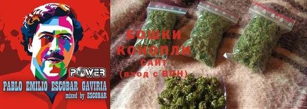 a pvp Ельня