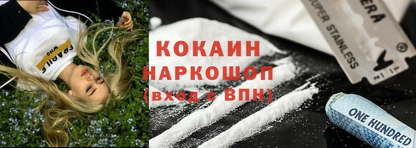 дживик Богородск