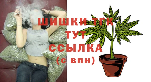 СК Богородицк