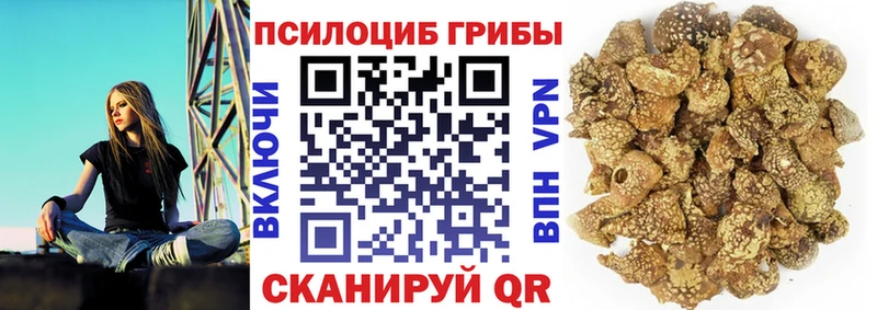 Галлюциногенные грибы Psilocybine cubensis  Дагестанские Огни 